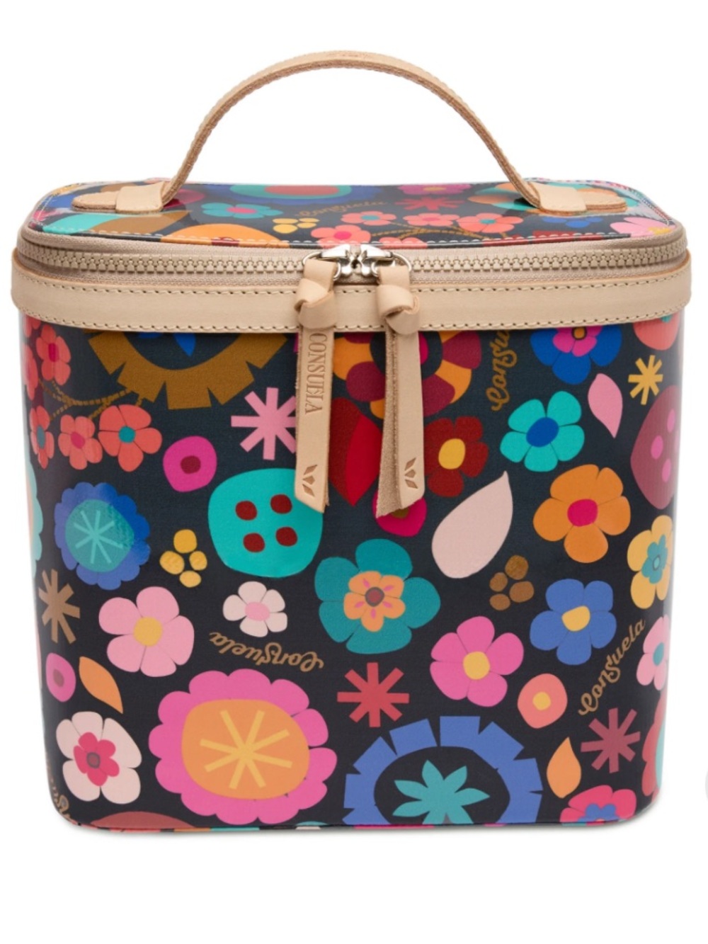 Consuela Black Floral Cosmetic Train Case with Multicolor Blooms